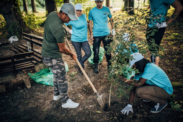 istock People planting a tree in park 1192875153