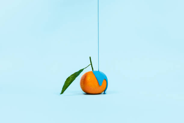 Food concept with orange and blue background.