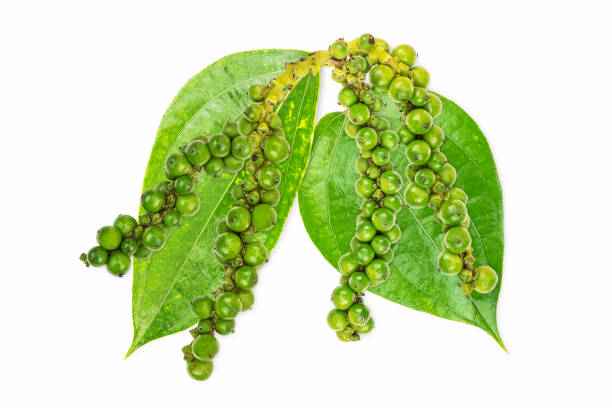 istock Fresh green peppercorns and leaves isolated on white background with clipping path 1192876504