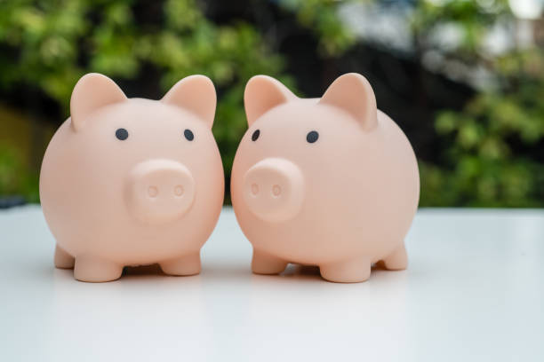 istock Piggy Bank Couple 1192876624