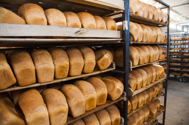 istock Bakery. Production of bread, rolls, pies and cookies 1192876738