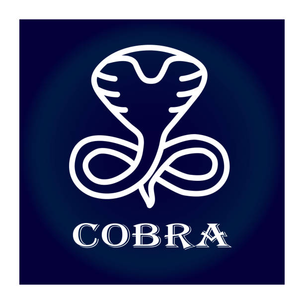 könig cobra-symbol - cobra snake aggression king cobra stock-grafiken, -clipart, -cartoons und -symbole