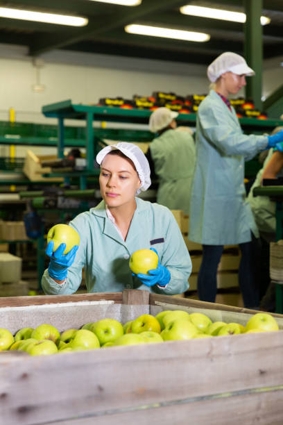 istock woman checking quality of apples in boxes 1192882242