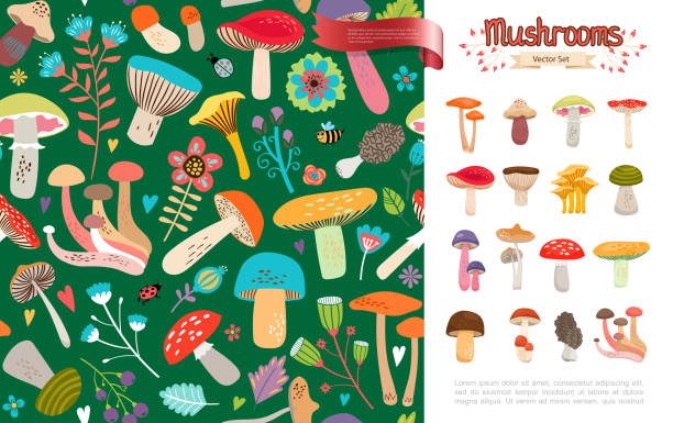 illustrazioni stock, clip art, cartoni animati e icone di tendenza di concetto di funghi della foresta estiva piatta - honey agaric
