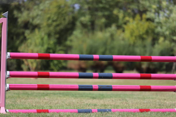 istock Image of show jumping poles on empty training field. 1192887612