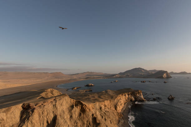 istock Golden Shadow in Paracas 1192888905