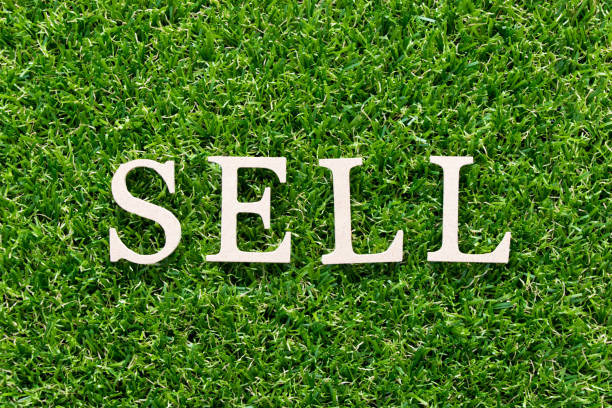 istock Wood alphabet in word sell on artificial green grass background 1192889219