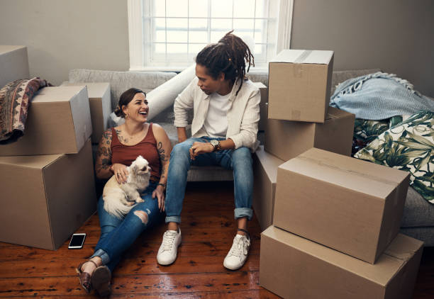istock Looks like we all feel at home here 1192896331