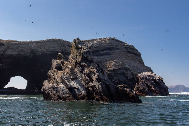 istock Islands Paracas Ballbows 1192897104