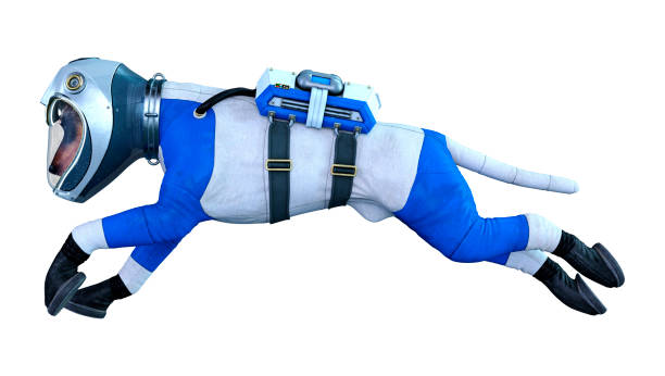 istock 3D illustration astronaut dog on white 1192897464