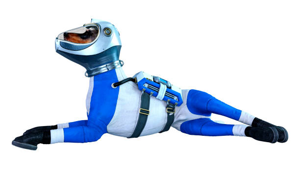 istock 3D illustration astronaut dog on white 1192897476