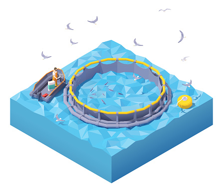 Vector isometric feeding fish at fish farm. Fish farm worker in inflatable boat feeding fish throwing fish food into floating round fish cage in the sea