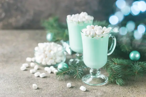 Homemade Peppermint Hot Chocolate with Marshmallows for Christmas holiday