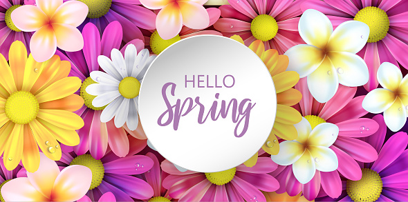 Hello Spring, flowers illustration