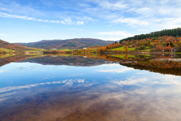 istock Rural Norwegian landscape with coastal forest 1192900074