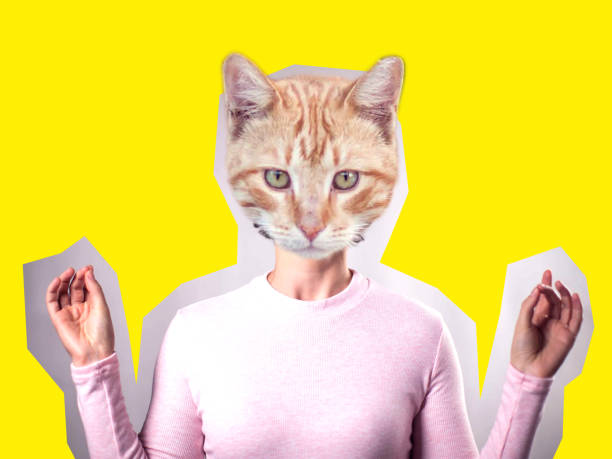 istock Modern art collage. Woman model with cat face instead head on bright background. 1192902221