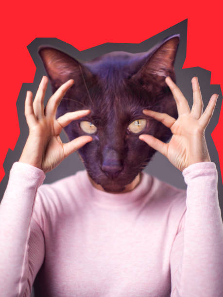 istock Modern art collage. Woman model with cat face instead head on bright background. 1192902226