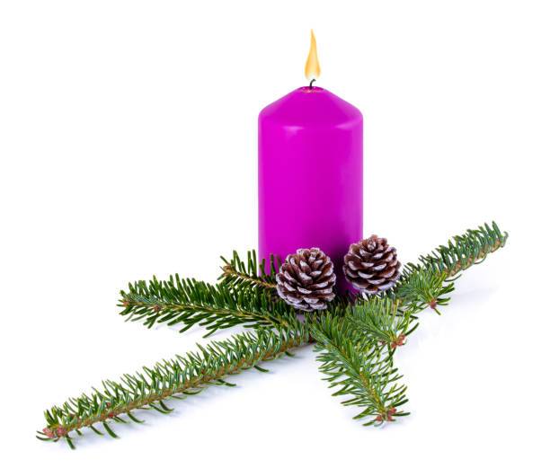 クリスマスの装飾 - 紫色の燃焼キャンドル、スプルースブランチと影の反射と白い背景に隔離コーン。針葉樹の小枝、松の円錐、紫色のろうそくを炎とするxmasの動機。 - pine tree pine cone branch isolated ストックフォトと画像