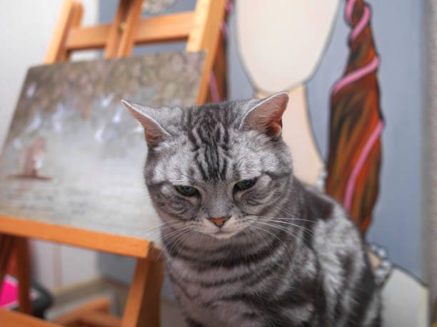 istock cat sitting in artist studio 1192905234