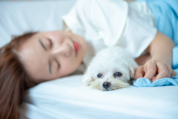 istock Puppy with owner on bed 1192907003
