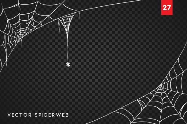 spinnweb für halloween-design, isoliert auf schwarzem hintergrund. vektor-illustration - spinnennetz stock-grafiken, -clipart, -cartoons und -symbole