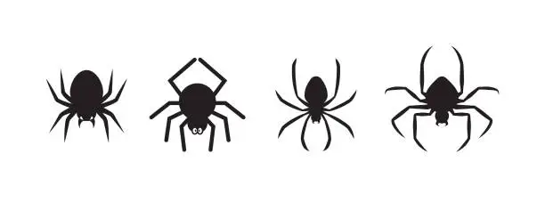 Vector illustration of Spiders for decoration and covering on the background.