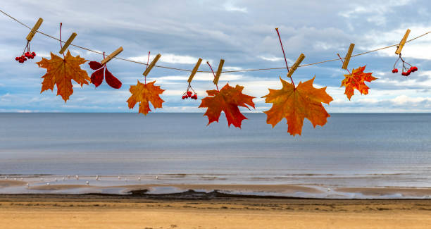 istock Autumnal maple leaves on a line with clothespin 1192912751