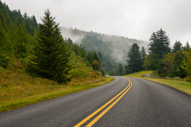 istock Misty Mountain Road in Blue Ridge Parkway 1192915747