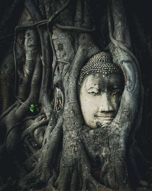 istock Buddha head at Wat Mahathat in Ayutthaya 1192917201