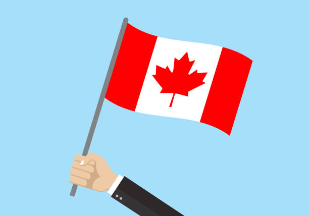 kanada schwenkt flagge. hand halten kanadische flagge. nationales symbol mit rotem ahornblatt. vektor-illustration. - canadian flag stock-grafiken, -clipart, -cartoons und -symbole