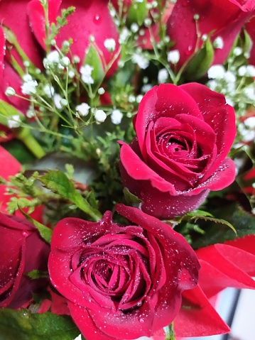 Two beautiful roses blooming fresh in bouquet