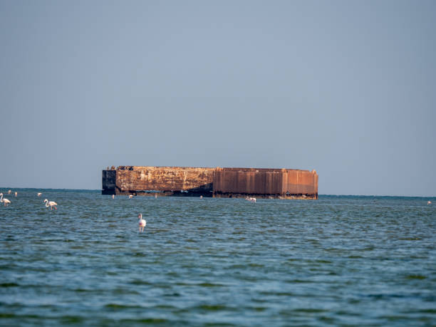 istock Shipwreck on Hawar Islands in the Arabian Gulf 1192919302