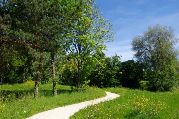istock St Martin's meadows in Rennes 1192919645