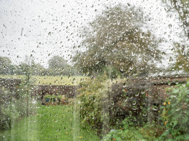 istock Green garden seen through rain splattered window 1192920467