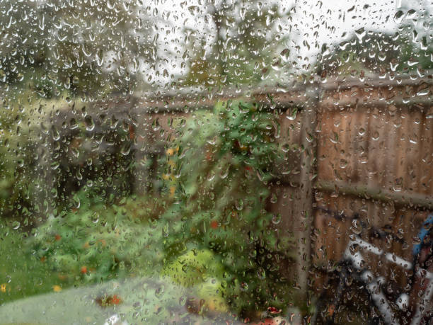 Raindrops on windows with view of green garden in autumn