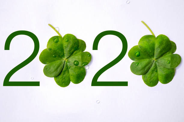 Необычные факты о празднике