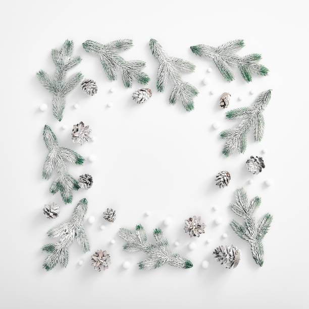 istock Evergreen tree branch with snow and pine cones. Square composition, flat lay, top view. Snow forest creative minimal frame. White negative space 1192927307