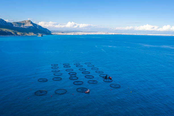 istock Aerial view of fish farm 1192927418