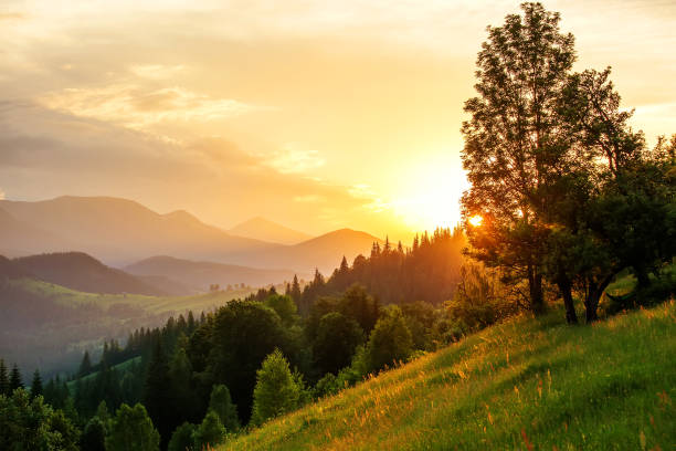 istock Beautiful sunset in Carpathian mountains 1192928962