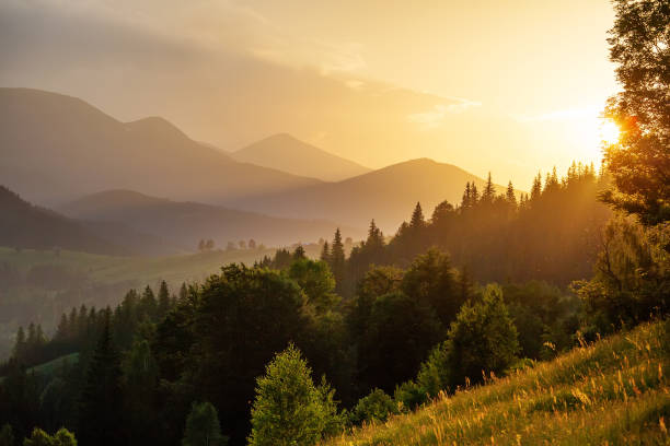 istock Beautiful sunset in Carpathian mountains 1192928968