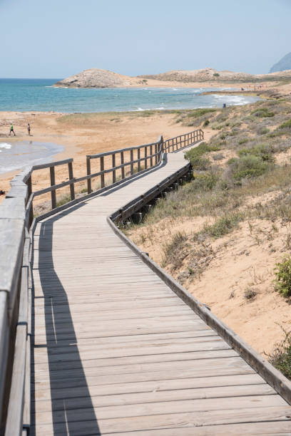 istock wooden walkway to access the beach 1192929824