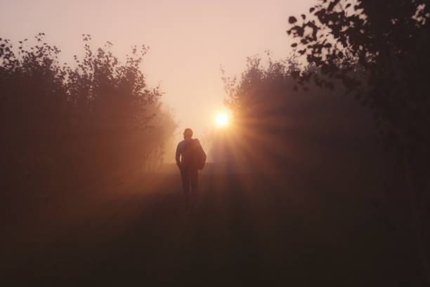 istock Man walking in the park at sunset 1192929831
