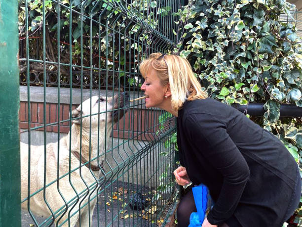 istock The woman's pet love 1192929874