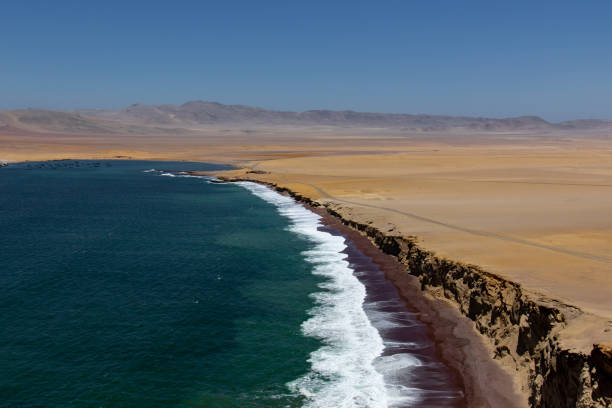 istock Paracas National Reserve 1192929956