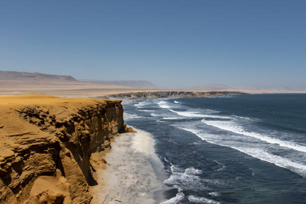 istock Paracas National Reserve 1192929960
