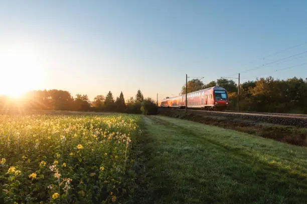 German regional train and rapeseed field at sunrise. Passenger train traveling in spring scenery. Eco-friendly public transport in a rural landscape.