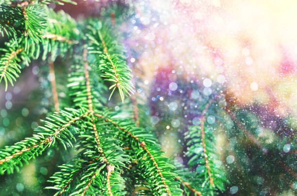istock Christmas background of fir tree. 1192933497