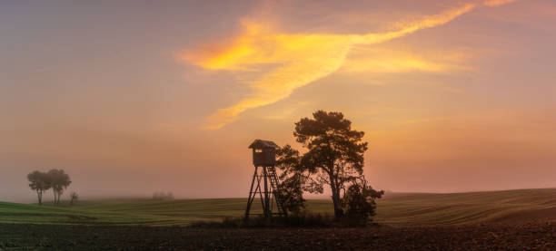 istock Hunting tower at dawn in the morning mist 1192935402