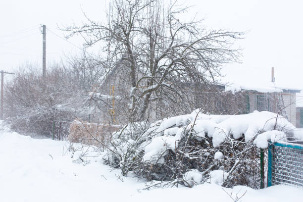 istock Winter, rural streets are covered with snow. Snow blizzard 1192939857