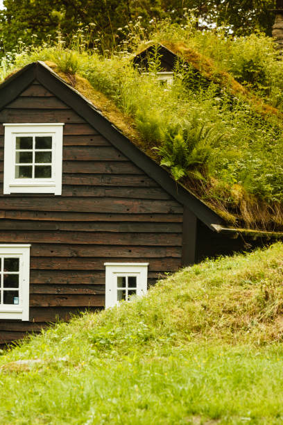 istock House roof covered with moss 1192940061
